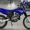Buy New 2025 Yamaha TTR125LES1